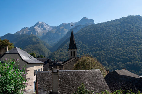 La Vallée d'Ossau : un écrin de nature et de tradition